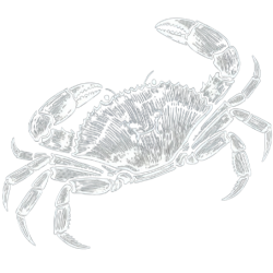 Crab