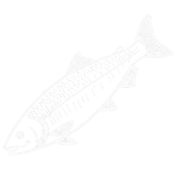 Whole Fish
