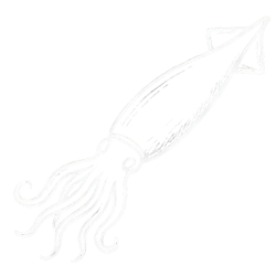 Calamari / Squid