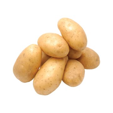Potato